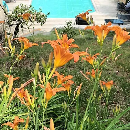 Les Du Hameau Avec Piscine *